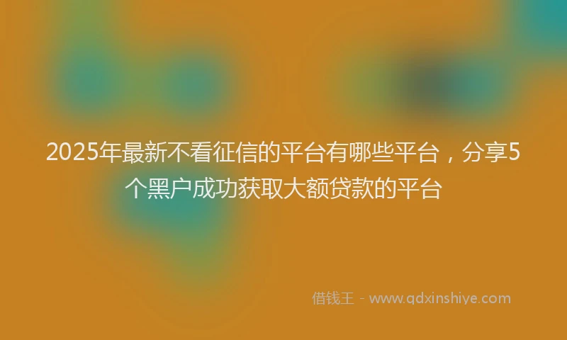 2025年最新不看征信的平台有哪些平台，分享5个黑户成功获取大额贷款的平台
