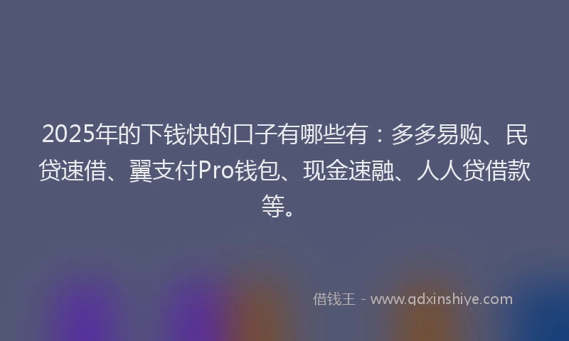 2025年的下钱快的口子有哪些有：多多易购、民贷速借、翼支付Pro钱包、现金速融、人人贷借款等。