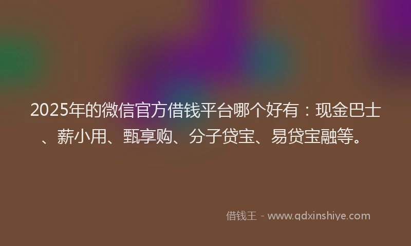 2025年的微信官方借钱平台哪个好有：现金巴士、薪小用、甄享购、分子贷宝、易贷宝融等。
