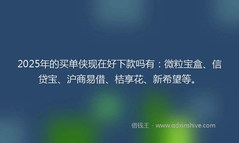 2025年的买单侠现在好下款吗有：微粒宝盒、信贷宝、沪商易借、桔享花、新希望等。