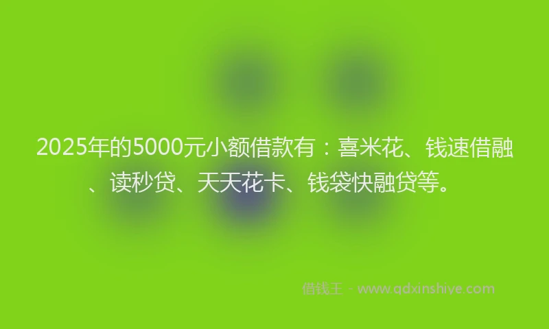 2025年的5000元小额借款有：喜米花、钱速借融、读秒贷、天天花卡、钱袋快融贷等。
