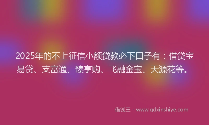 2025年的不上征信小额贷款必下口子有：借贷宝易贷、支富通、臻享购、飞融金宝、天源花等。