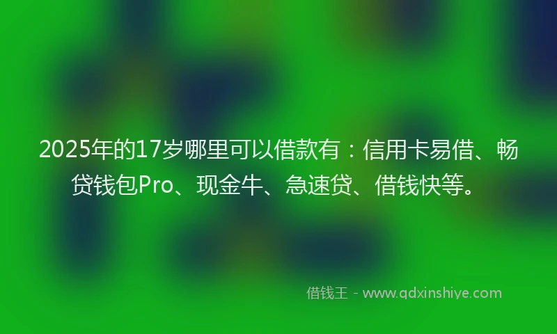 2025年的17岁哪里可以借款有：信用卡易借、畅贷钱包Pro、现金牛、急速贷、借钱快等。