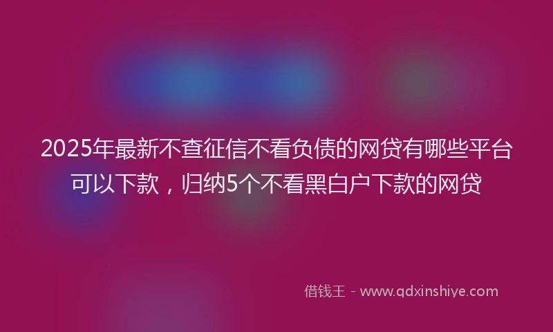 2025年最新不查征信不看负债的网贷有哪些平台可以下款，归纳5个不看黑白户下款的网贷