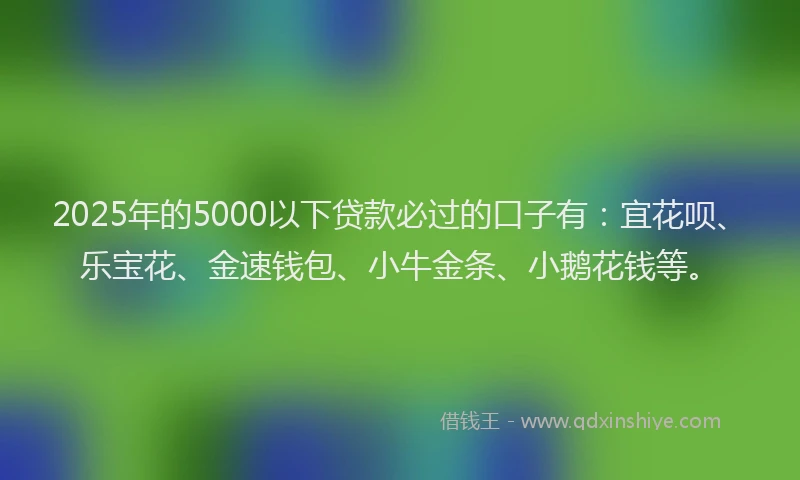 2025年的5000以下贷款必过的口子有：宜花呗、乐宝花、金速钱包、小牛金条、小鹅花钱等。