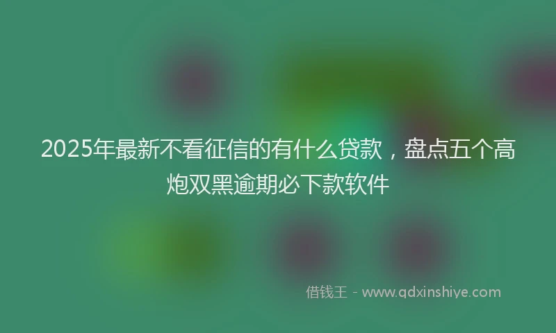 2025年最新不看征信的有什么贷款，盘点五个高炮双黑逾期必下款软件