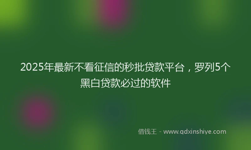 2025年最新不看征信的秒批贷款平台，罗列5个黑白贷款必过的软件