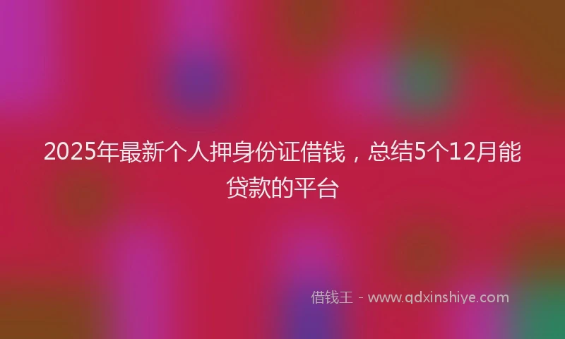 2025年最新个人押身份证借钱，总结5个12月能贷款的平台