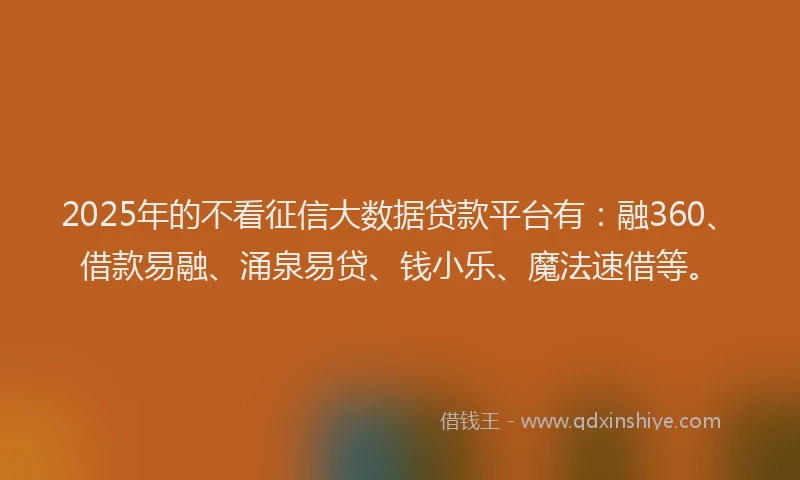 2025年的不看征信大数据贷款平台有：融360、借款易融、涌泉易贷、钱小乐、魔法速借等。