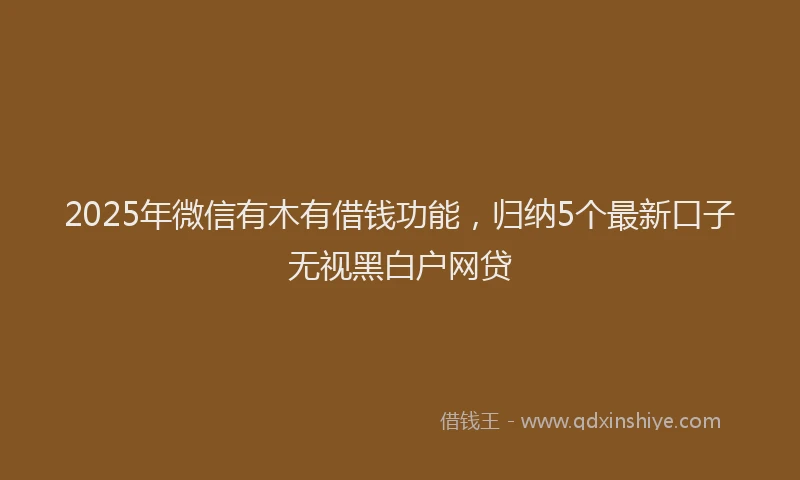2025年微信有木有借钱功能，归纳5个最新口子无视黑白户网贷