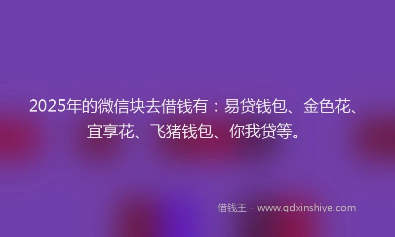 2025年的微信块去借钱有：易贷钱包、金色花、宜享花、飞猪钱包、你我贷等。