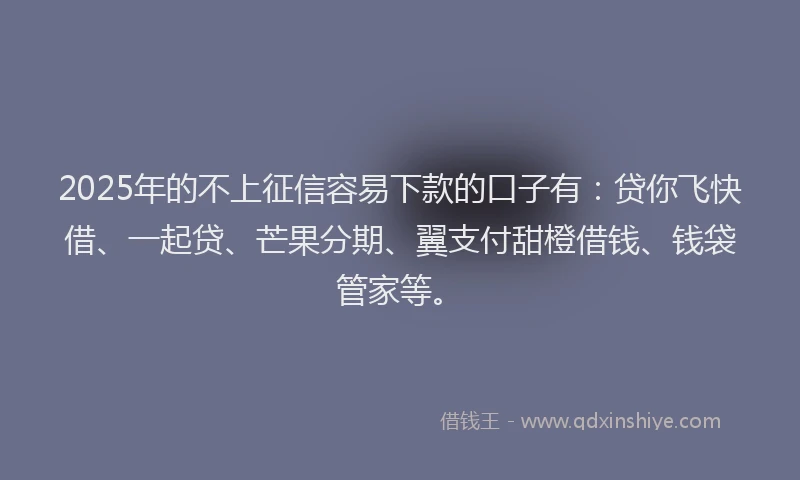 2025年的不上征信容易下款的口子有：贷你飞快借、一起贷、芒果分期、翼支付甜橙借钱、钱袋管家等。