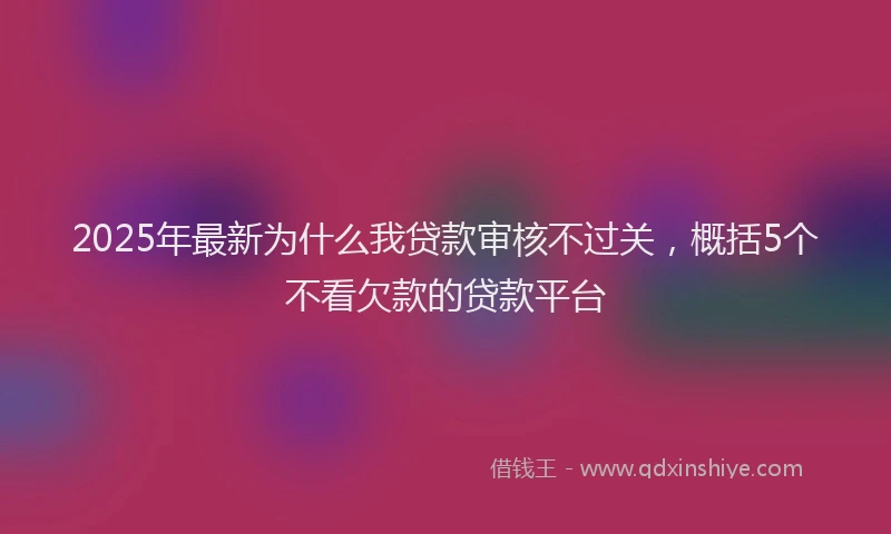 2025年最新为什么我贷款审核不过关，概括5个不看欠款的贷款平台