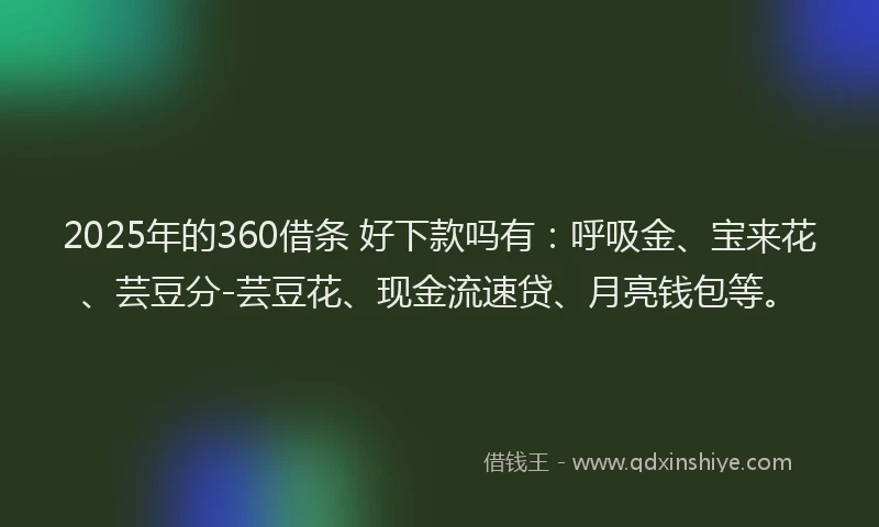 2025年的360借条 好下款吗有：呼吸金、宝来花、芸豆分-芸豆花、现金流速贷、月亮钱包等。