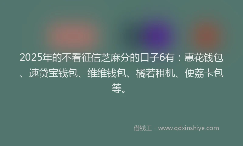 2025年的不看征信芝麻分的口子6有：惠花钱包、速贷宝钱包、维维钱包、橘若租机、便荔卡包等。