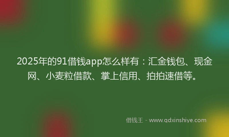 2025年的91借钱app怎么样有：汇金钱包、现金网、小麦粒借款、掌上信用、拍拍速借等。