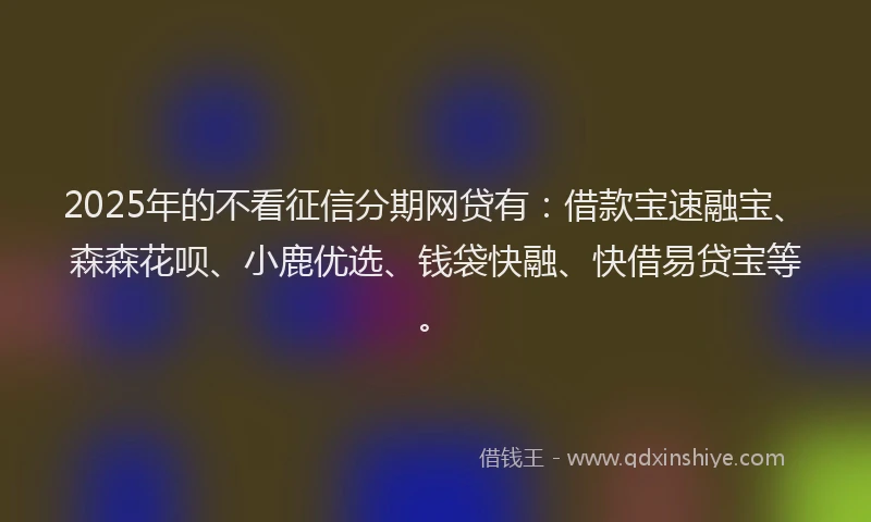 2025年的不看征信分期网贷有：借款宝速融宝、森森花呗、小鹿优选、钱袋快融、快借易贷宝等。