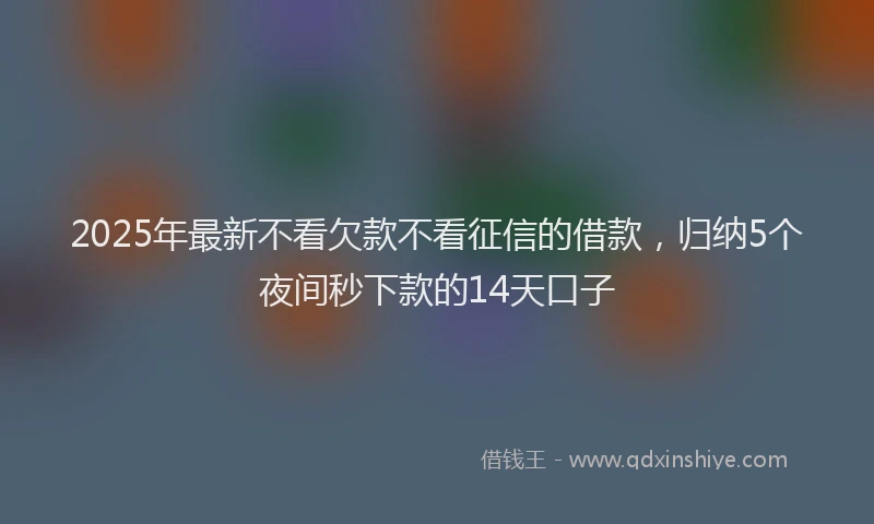 2025年最新不看欠款不看征信的借款，归纳5个夜间秒下款的14天口子