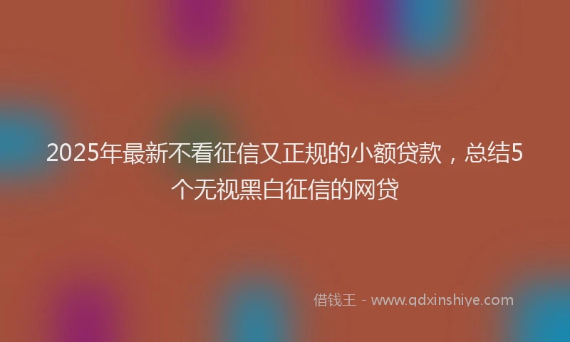 2025年最新不看征信又正规的小额贷款，总结5个无视黑白征信的网贷