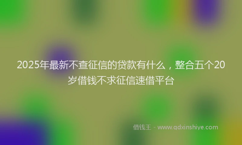 2025年最新不查征信的贷款有什么，整合五个20岁借钱不求征信速借平台