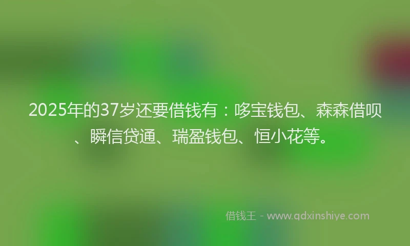 2025年的37岁还要借钱有：哆宝钱包、森森借呗、瞬信贷通、瑞盈钱包、恒小花等。