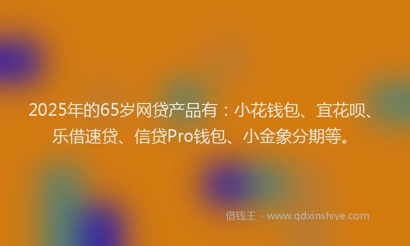 2025年的65岁网贷产品有：小花钱包、宜花呗、乐借速贷、信贷Pro钱包、小金象分期等。