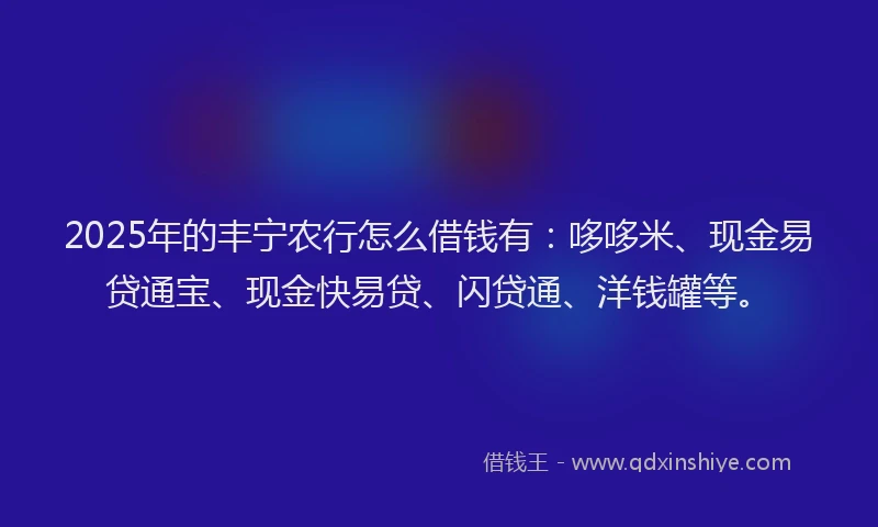 2025年的丰宁农行怎么借钱有：哆哆米、现金易贷通宝、现金快易贷、闪贷通、洋钱罐等。