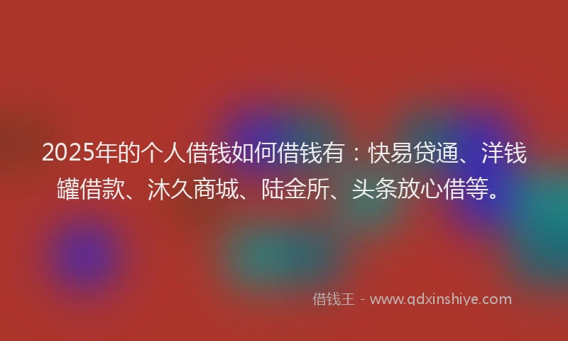 2025年的个人借钱如何借钱有：快易贷通、洋钱罐借款、沐久商城、陆金所、头条放心借等。