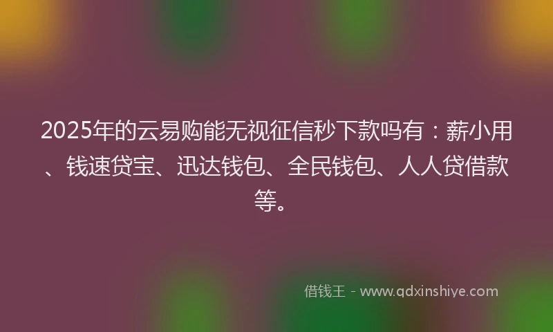 2025年的云易购能无视征信秒下款吗有：薪小用、钱速贷宝、迅达钱包、全民钱包、人人贷借款等。