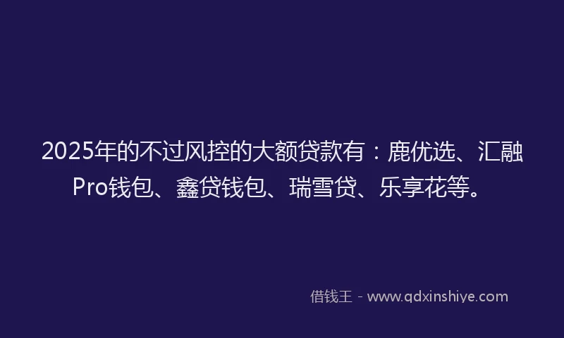 2025年的不过风控的大额贷款有：鹿优选、汇融Pro钱包、鑫贷钱包、瑞雪贷、乐享花等。
