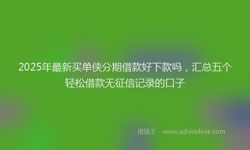 2025年最新买单侠分期借款好下款吗，汇总五个轻松借款无征信记录的口子