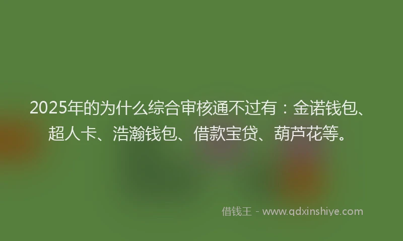 2025年的为什么综合审核通不过有：金诺钱包、超人卡、浩瀚钱包、借款宝贷、葫芦花等。