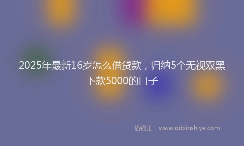 2025年最新16岁怎么借贷款，归纳5个无视双黑下款5000的口子