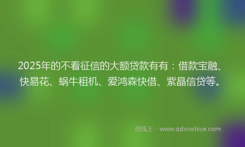 2025年的不看征信的大额贷款有有：借款宝融、快易花、蜗牛租机、爱鸿森快借、紫晶信贷等。