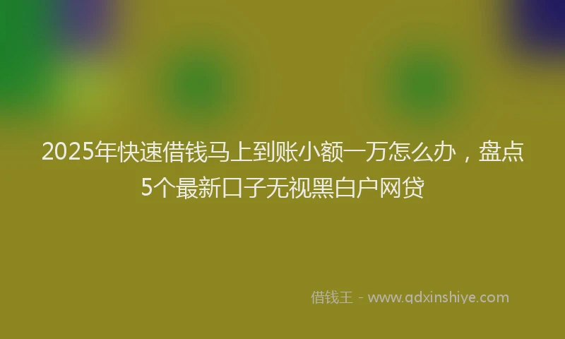 2025年快速借钱马上到账小额一万怎么办，盘点5个最新口子无视黑白户网贷