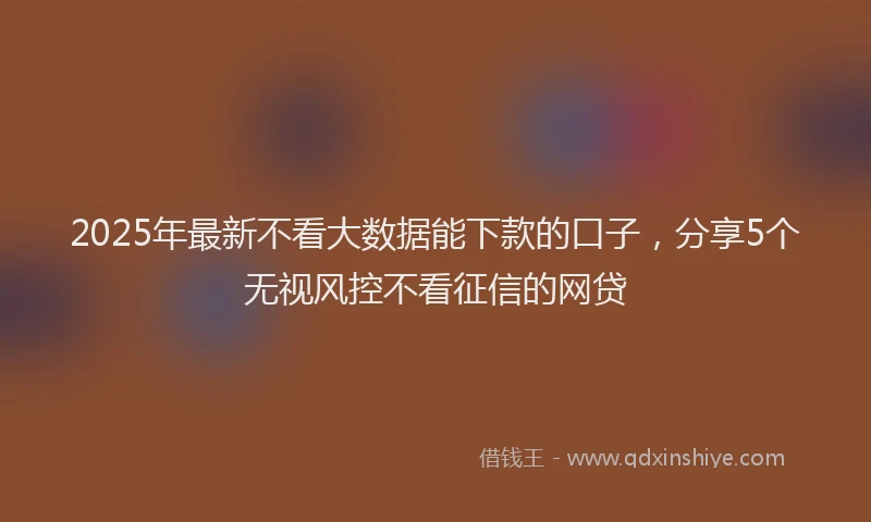 2025年最新不看大数据能下款的口子，分享5个无视风控不看征信的网贷