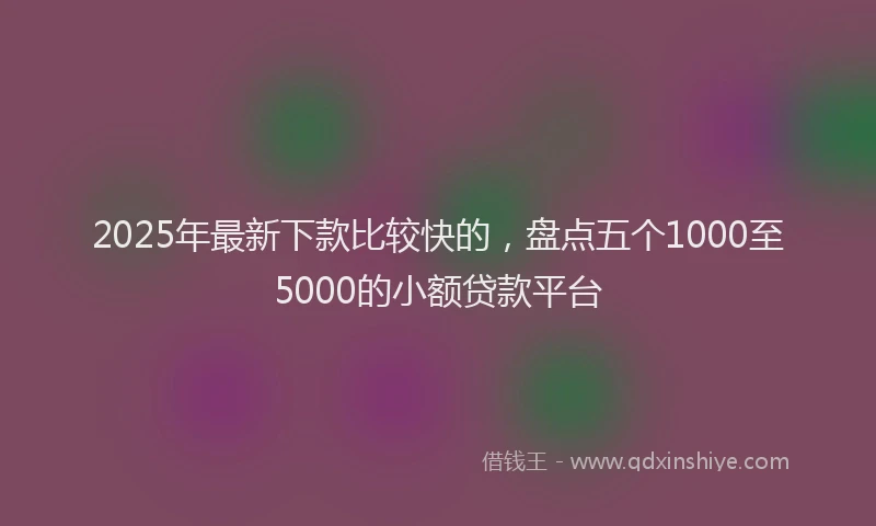 2025年最新下款比较快的，盘点五个1000至5000的小额贷款平台