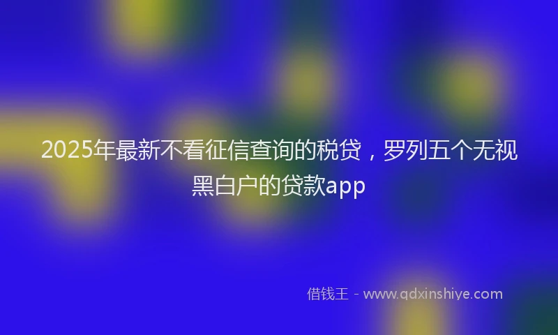 2025年最新不看征信查询的税贷，罗列五个无视黑白户的贷款app
