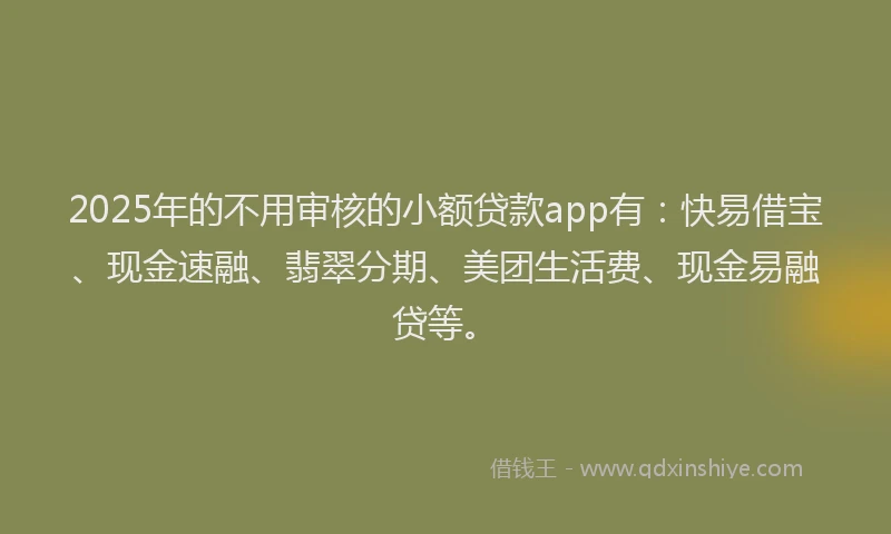 2025年的不用审核的小额贷款app有：快易借宝、现金速融、翡翠分期、美团生活费、现金易融贷等。