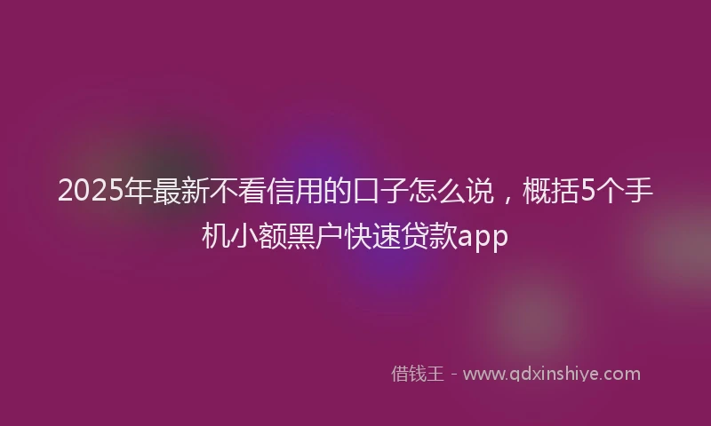 2025年最新不看信用的口子怎么说，概括5个手机小额黑户快速贷款app