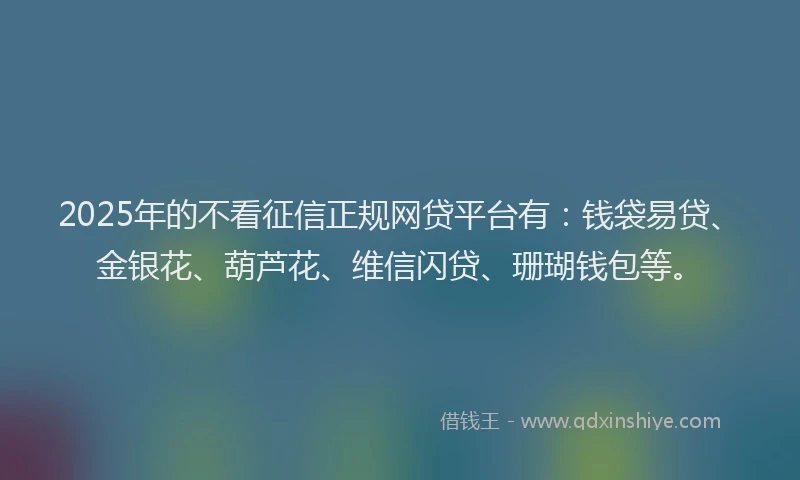 2025年的不看征信正规网贷平台有：钱袋易贷、金银花、葫芦花、维信闪贷、珊瑚钱包等。
