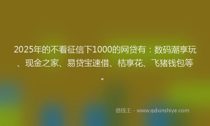 2025年的不看征信下1000的网贷有：数码潮享玩、现金之家、易贷宝速借、桔享花、飞猪钱包等。