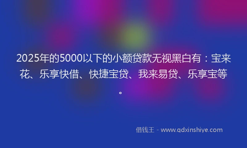 2025年的5000以下的小额贷款无视黑白有：宝来花、乐享快借、快捷宝贷、我来易贷、乐享宝等。