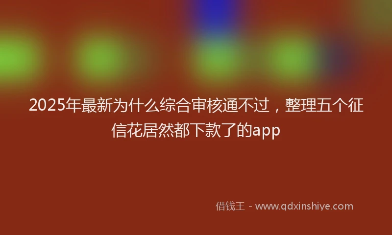 2025年最新为什么综合审核通不过，整理五个征信花居然都下款了的app