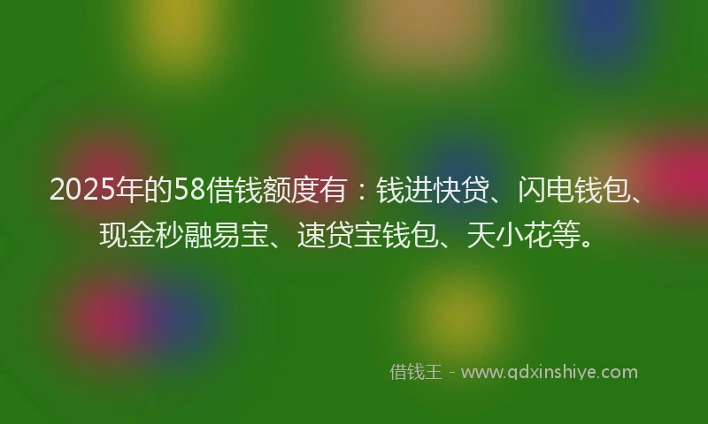 2025年的58借钱额度有：钱进快贷、闪电钱包、现金秒融易宝、速贷宝钱包、天小花等。