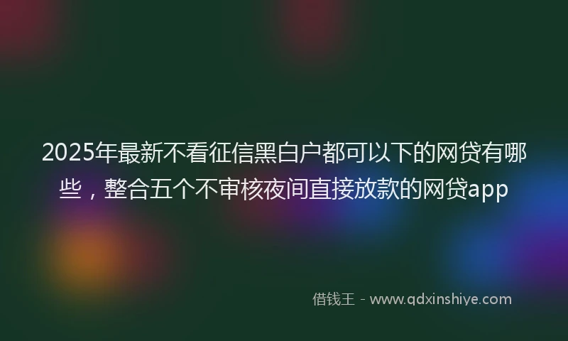 2025年最新不看征信黑白户都可以下的网贷有哪些，整合五个不审核夜间直接放款的网贷app