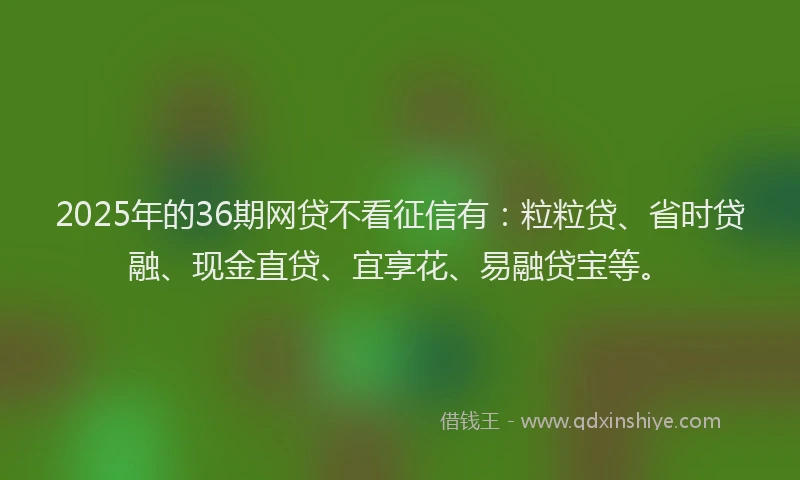 2025年的36期网贷不看征信有：粒粒贷、省时贷融、现金直贷、宜享花、易融贷宝等。