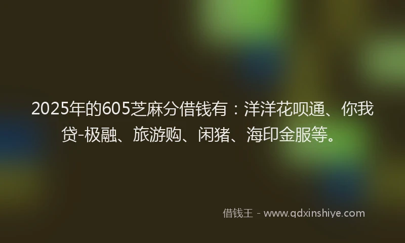 2025年的605芝麻分借钱有：洋洋花呗通、你我贷-极融、旅游购、闲猪、海印金服等。