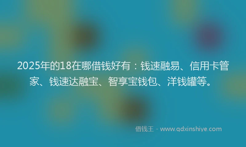 2025年的18在哪借钱好有：钱速融易、信用卡管家、钱速达融宝、智享宝钱包、洋钱罐等。