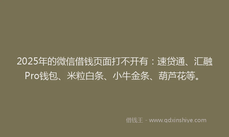 2025年的微信借钱页面打不开有：速贷通、汇融Pro钱包、米粒白条、小牛金条、葫芦花等。